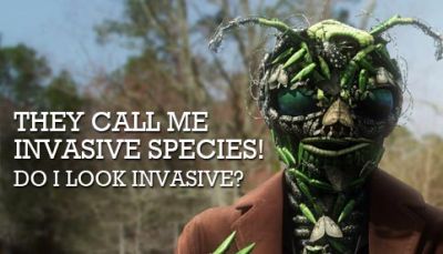 Invasive Species Workshop for First Detectors