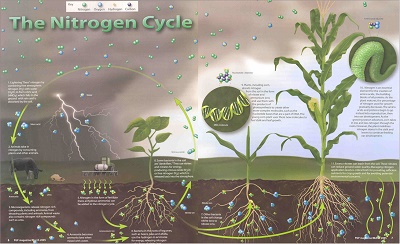 Soil Fertility Webinar for Continuing Education