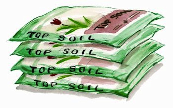 Seahorse Soil Sale April 1–No Fooling