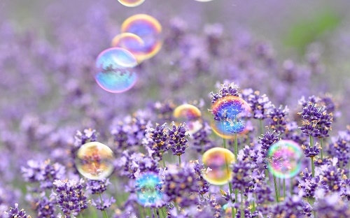 SpringBubbles