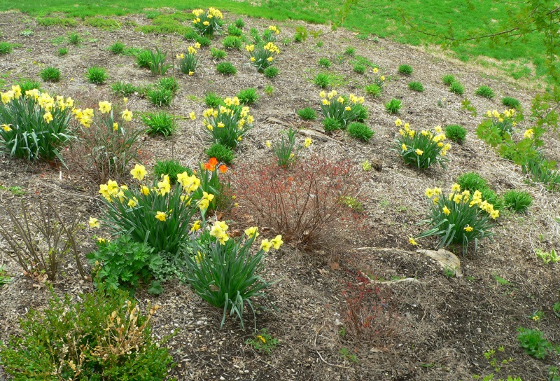 FlowerHill