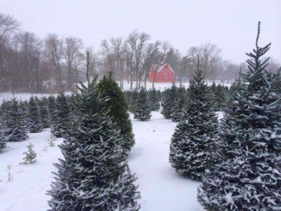 Ag Speaker Series at The Sawmill Museum