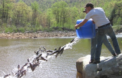 Spring Fish Sale for Pond Stocking