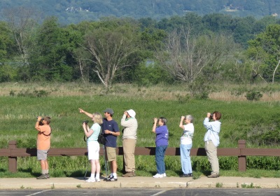 Birdwatchers