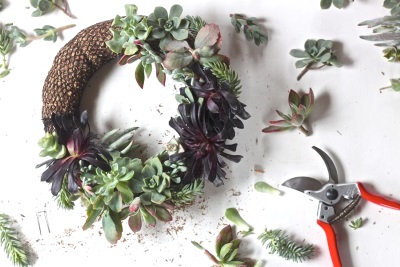 January 29 Succulent Wreath Webinar