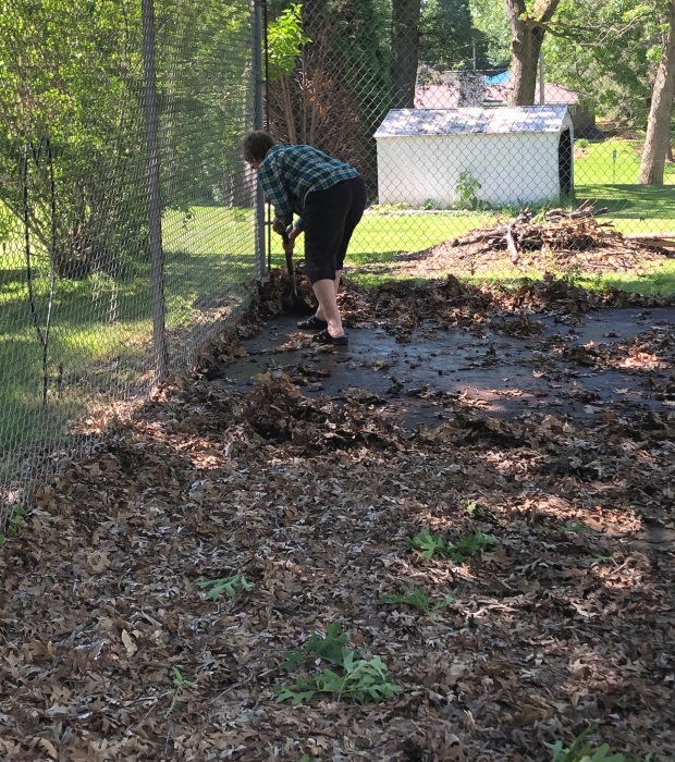 Volunteers Clean Future Pickleball Courts