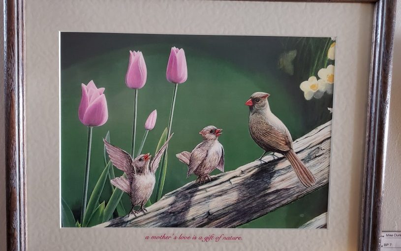 TulipsCardinal