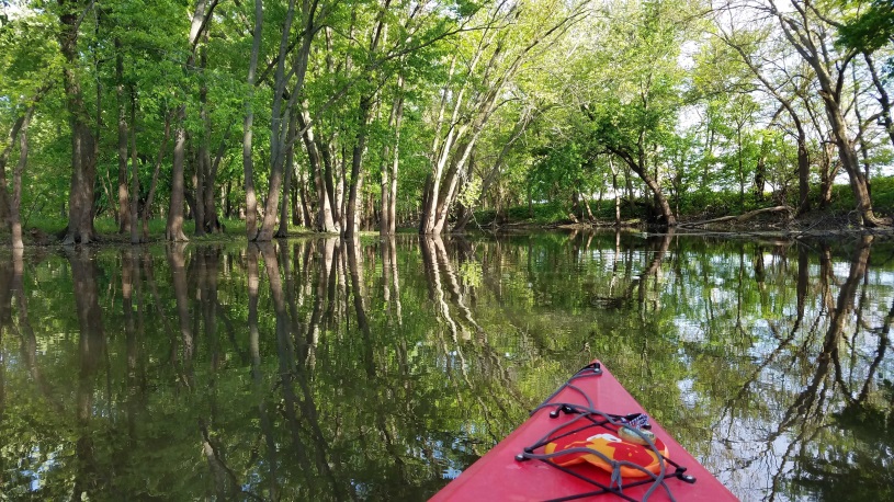 Rep. McCombie Announced Spring Photo Contest Winners