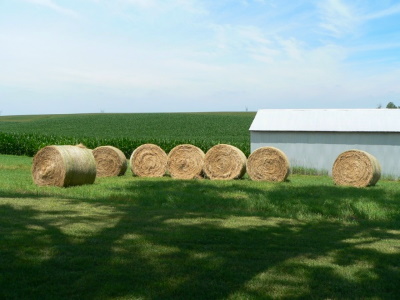 Refuge Seeks Bidders to Harvest Hay