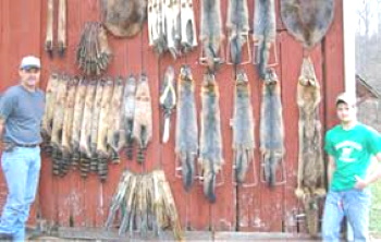 Availability of Trapping Permits Online Only