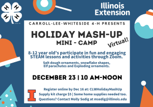 HolidayMashUp